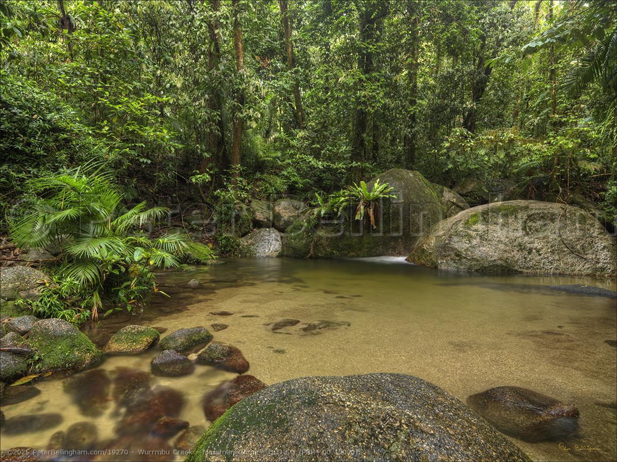 Peter Bellingham Photography Wurrmbu Creek - Mossman Gorge - QLD SQ (PBH4 00 17000)